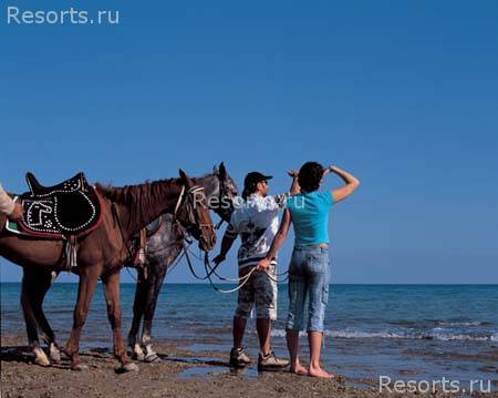 Beach Albatros Hotel 15